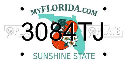 3084TJ Florida License Plate