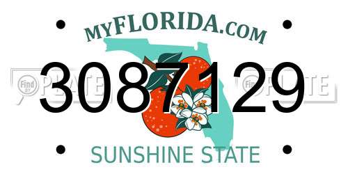3087129 Florida License Plate