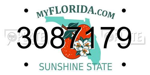 3087179 Florida License Plate