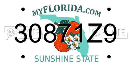 30871Z9 Florida License Plate