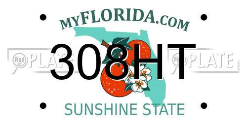 308HT Florida License Plate