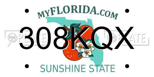 308KQX Florida License Plate