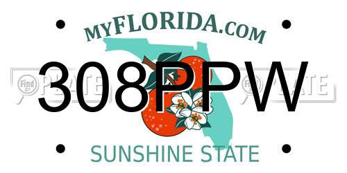 308PPW Florida License Plate