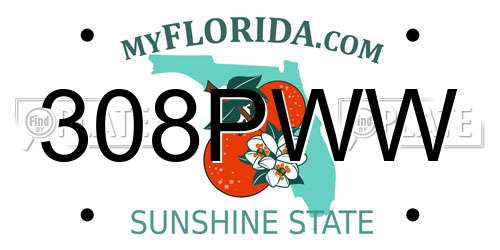 308PWW Florida License Plate