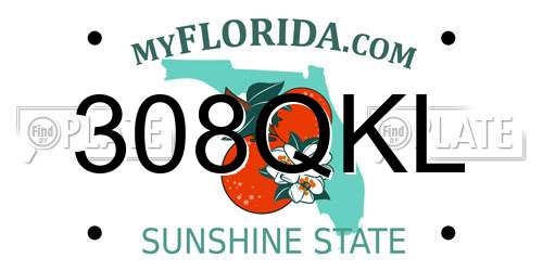 308QKL Florida License Plate