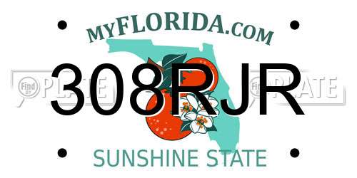 308RJR Florida License Plate
