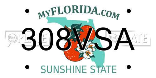 308VSA Florida License Plate