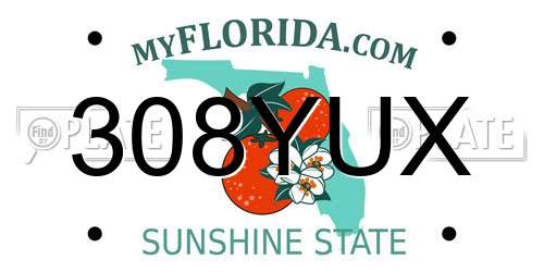 308YUX Florida License Plate