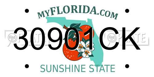 30901CK Florida License Plate