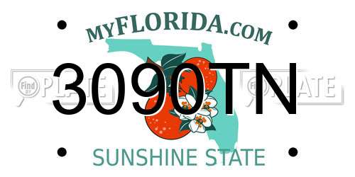 3090TN Florida License Plate