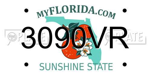 3090VR Florida License Plate