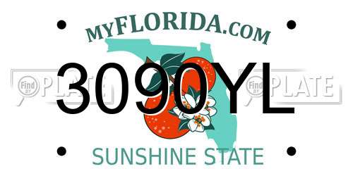 3090YL Florida License Plate