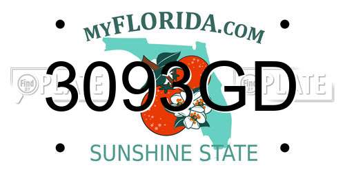 3093GD Florida License Plate