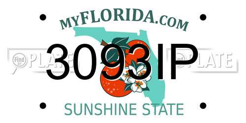 3093IP Florida License Plate