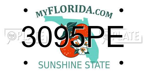 3095PE Florida License Plate