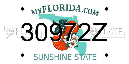 30972Z Florida License Plate