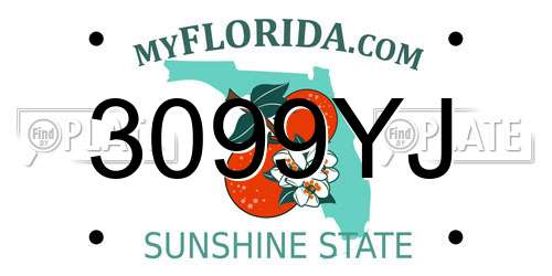 3099YJ Florida License Plate