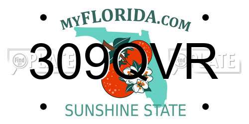 309QVR Florida License Plate