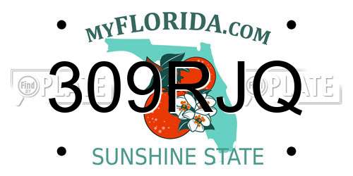 309RJQ Florida License Plate