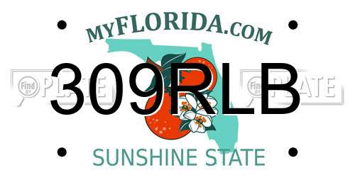 309RLB Florida License Plate