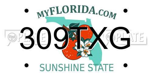 309TXG Florida License Plate