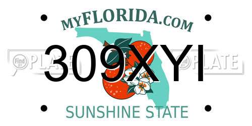 309XYI Florida License Plate