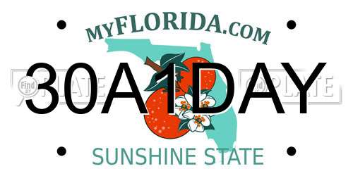 30A1DAY Florida License Plate