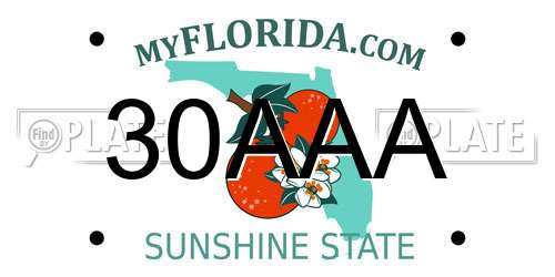 30AAA Florida License Plate