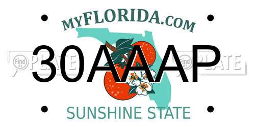 30AAAP Florida License Plate