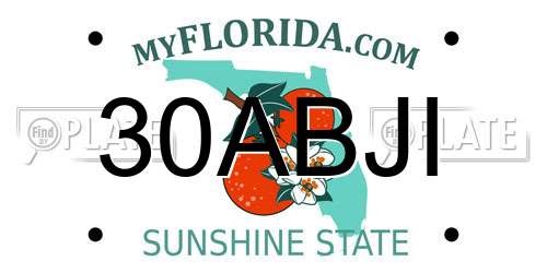 30ABJI Florida License Plate