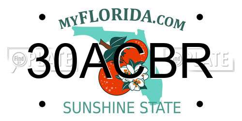 30ACBR Florida License Plate