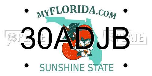 30ADJB Florida License Plate