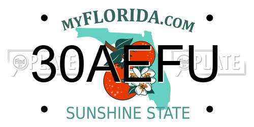 30AEFU Florida License Plate