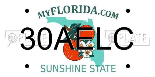 30AELC Florida License Plate