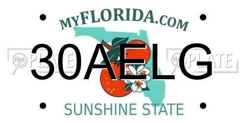30AELG Florida License Plate