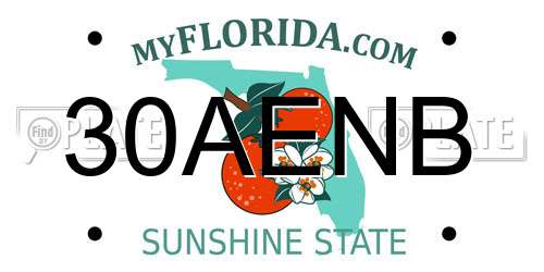30AENB Florida License Plate