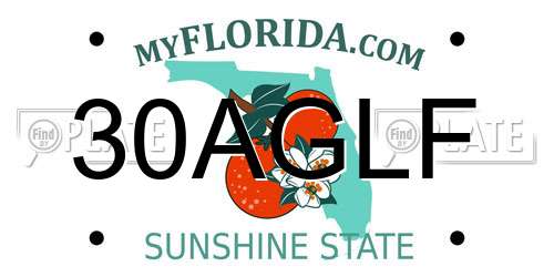 30AGLF Florida License Plate