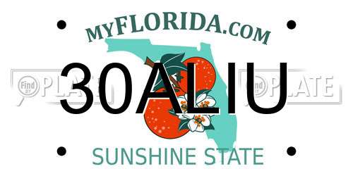 30ALIU Florida License Plate