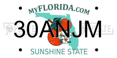 30ANJM Florida License Plate