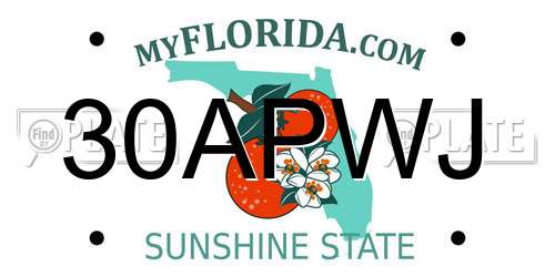30APWJ Florida License Plate