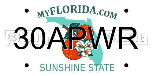30APWR Florida License Plate