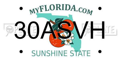 30ASVH Florida License Plate