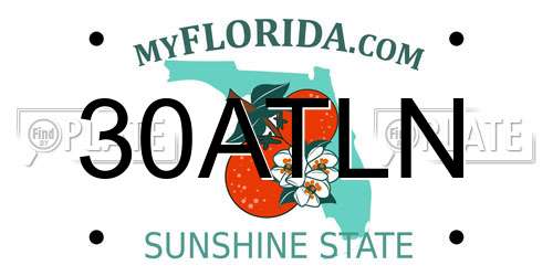 30ATLN Florida License Plate