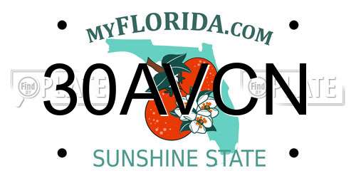 30AVCN Florida License Plate