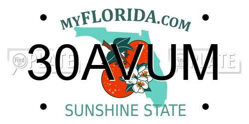 30AVUM Florida License Plate