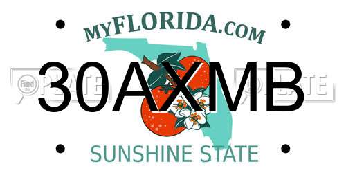 30AXMB Florida License Plate