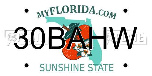 30BAHW Florida License Plate