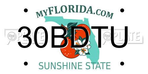 30BDTU Florida License Plate