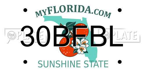 30BFBL Florida License Plate