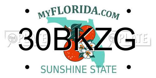 30BKZG Florida License Plate